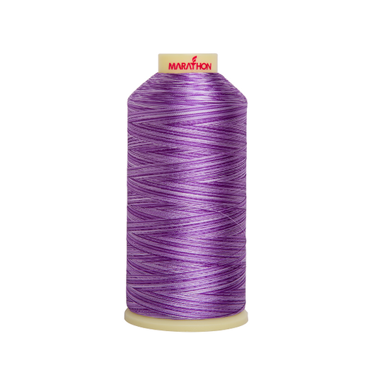 5510 Ombre Purple  Variegated Thread (Rayon)